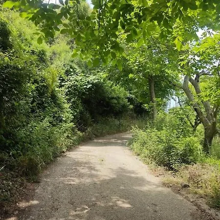 Κτήμα Μύλος Villa Agrinio Exterior photo