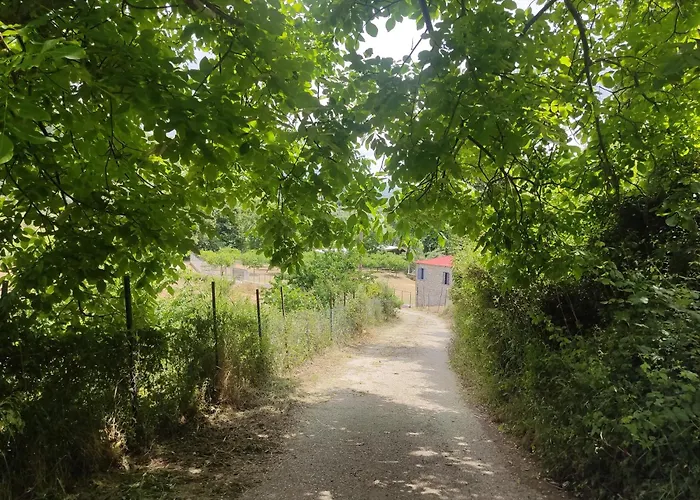 Κτήμα Μύλος