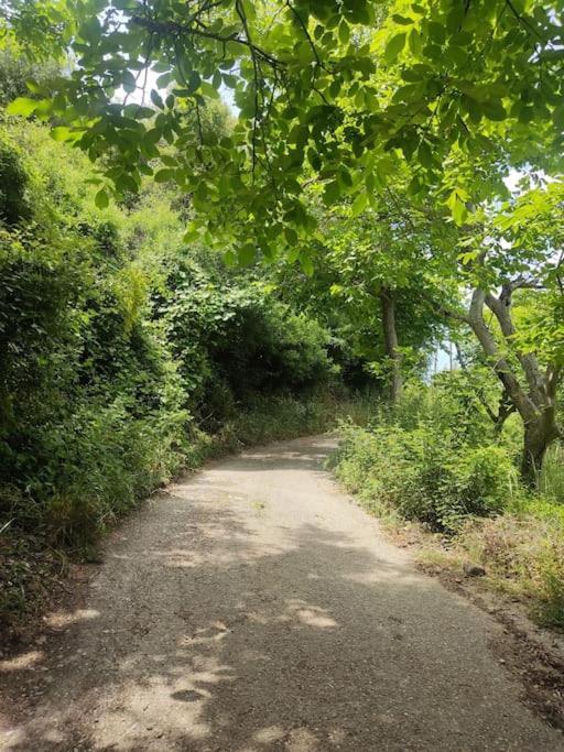κτήμα μύλος Holiday home Agrinio