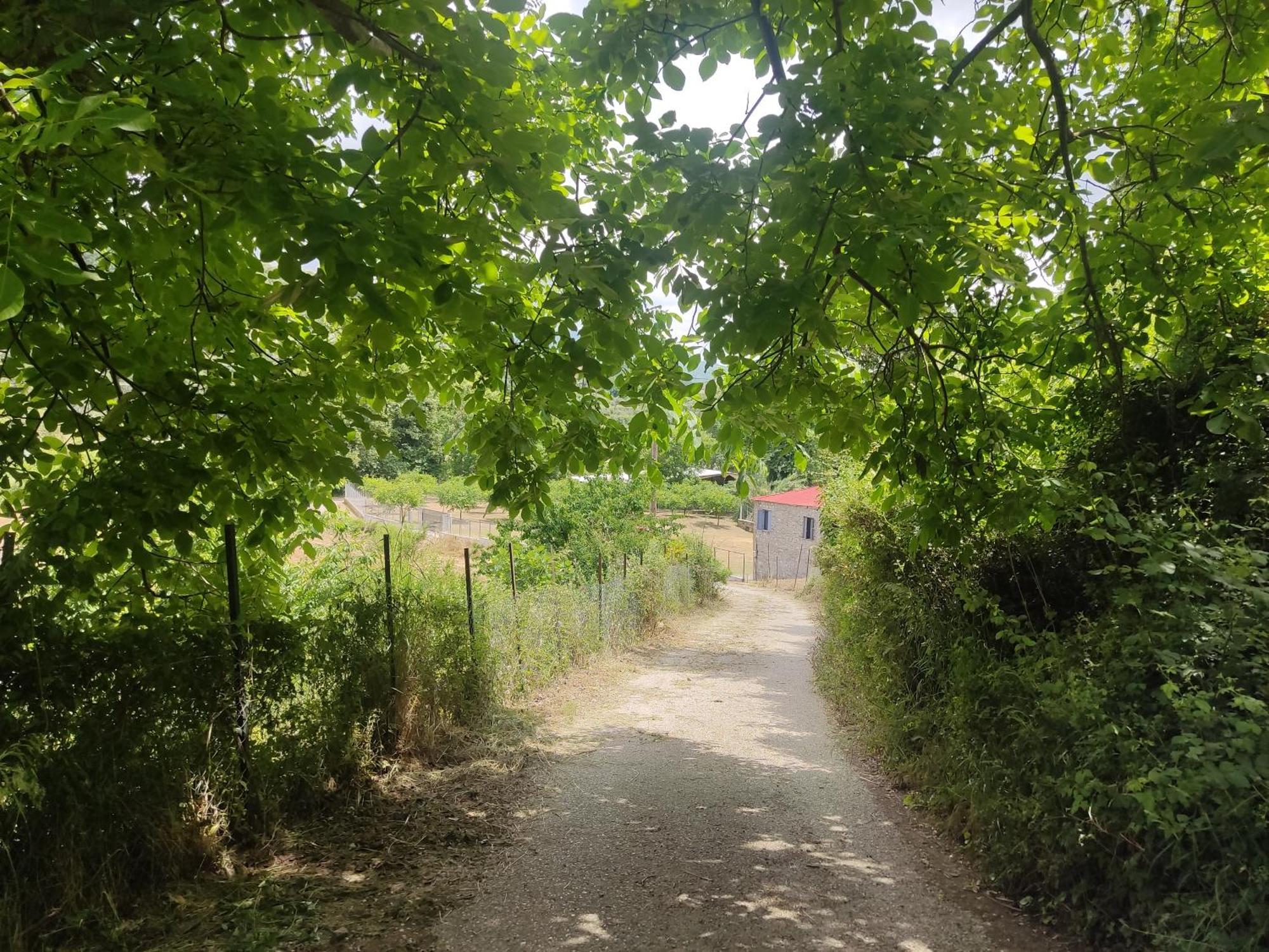 κτήμα μύλος Holiday home *