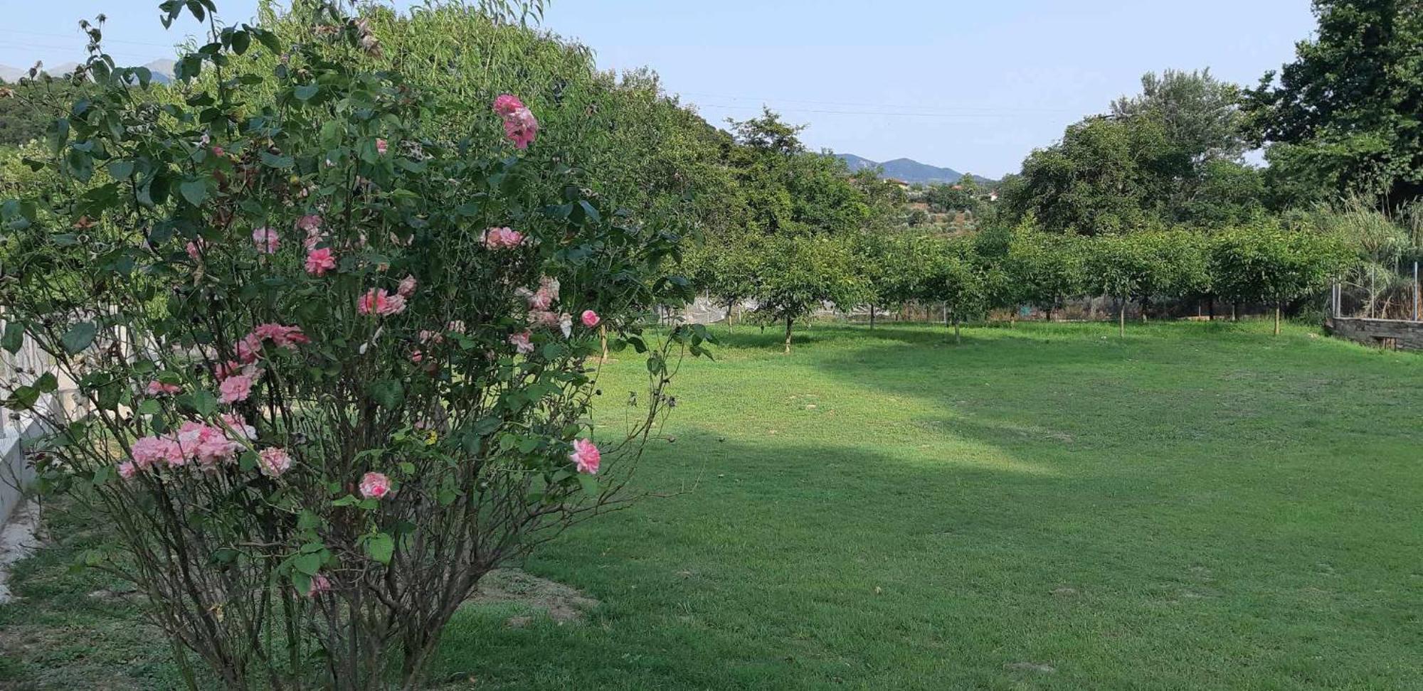 Holiday home κτήμα μύλος