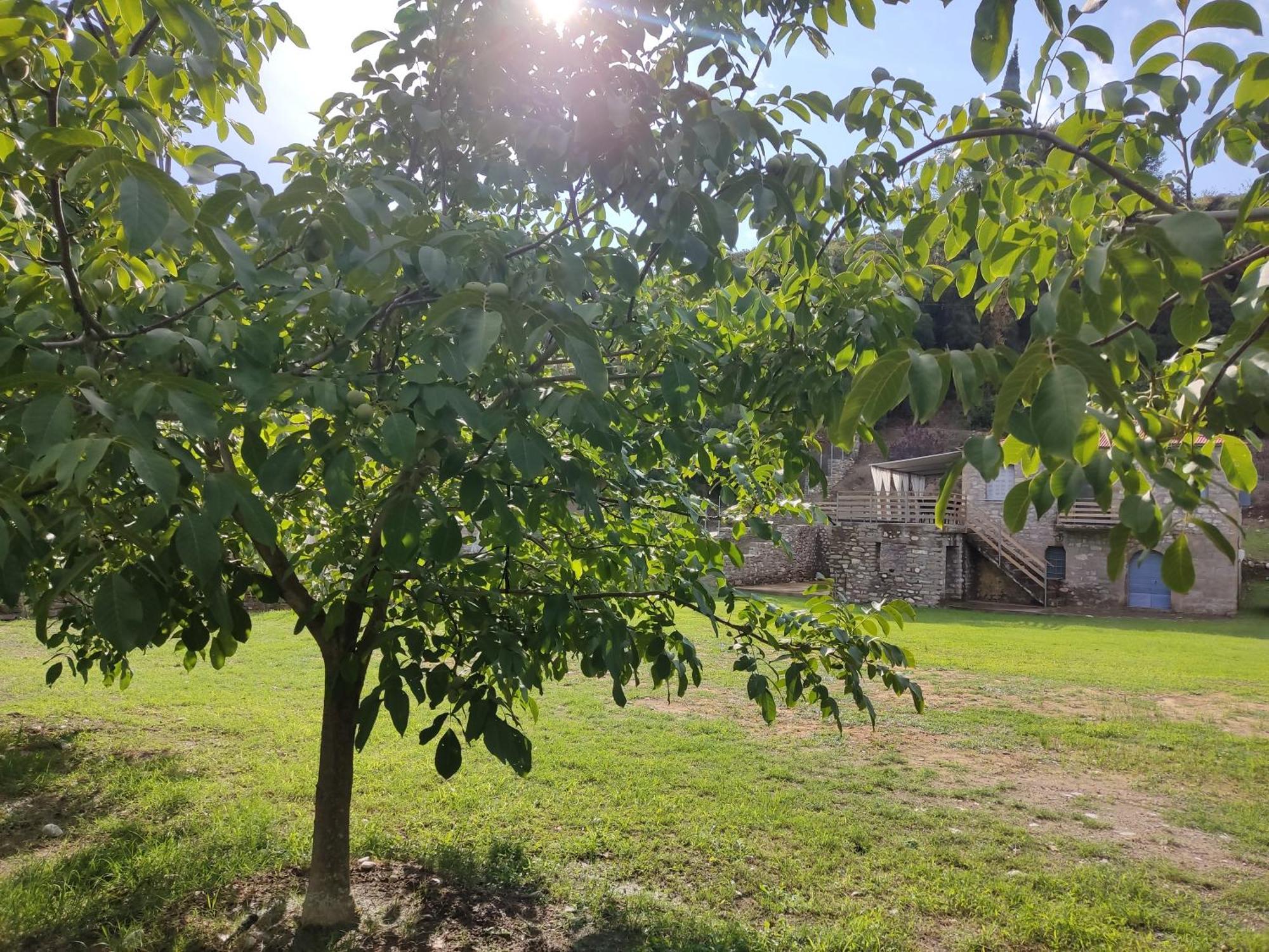 κτήμα μύλος Holiday home Agrinio